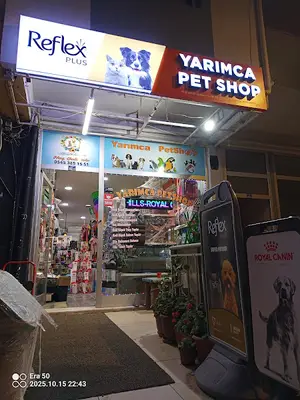 Alpkan Akvaryum & Kușevi
