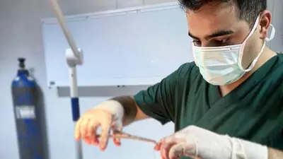 MERT VETERİNER KLİNİĞİ