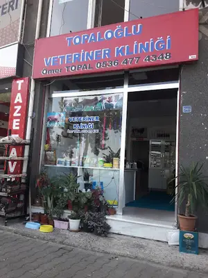 Tirebolu veteriner kliniği
