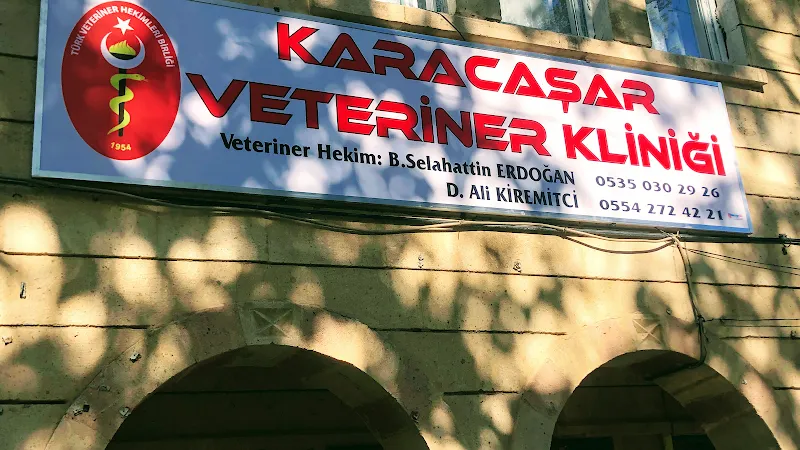 Kaş Veteriner Kliniği foto 2