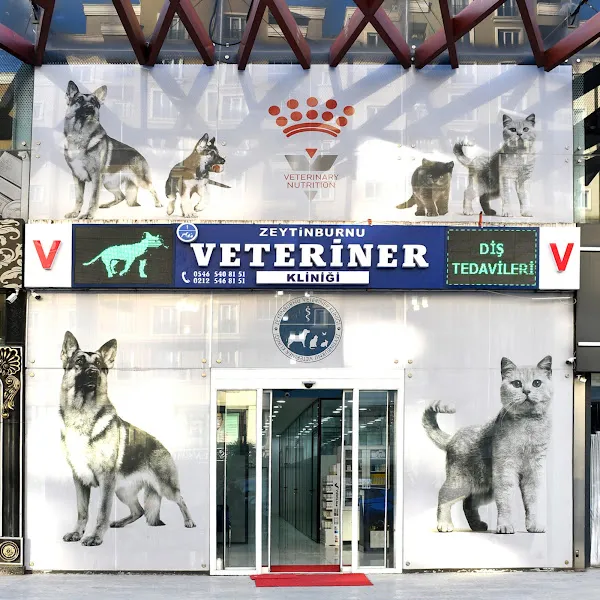 Zeytinburnu Veteriner Kliniği foto 1