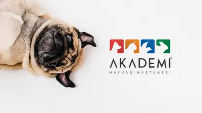 Akademi Hayvan Hastanesi fotoğrafı