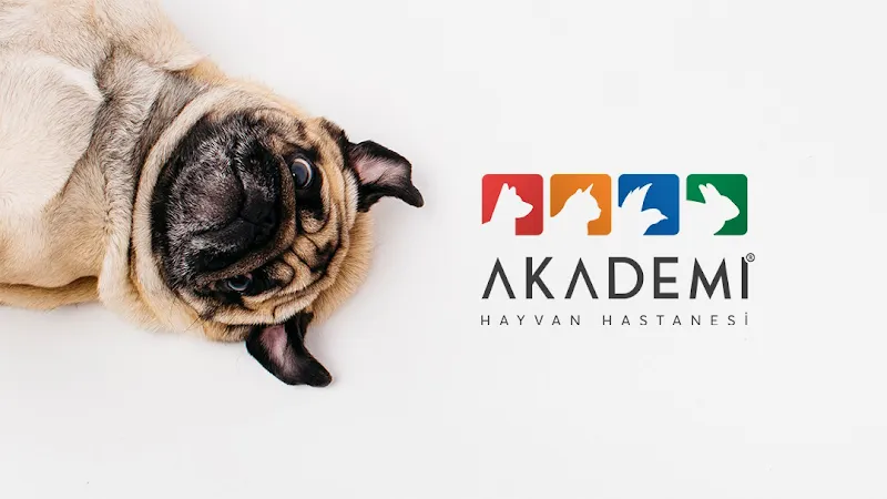 Akademi Hayvan Hastanesi foto 1