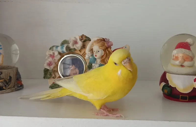 Vetorka Veteriner Kliniği foto 2