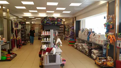 Pet City Veteriner Kliniği