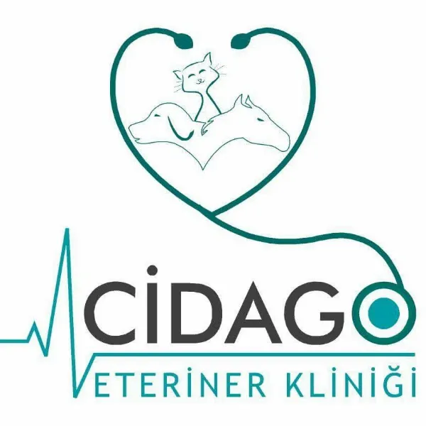 Cidago Veteriner Kliniği Zeytinburnu foto 2