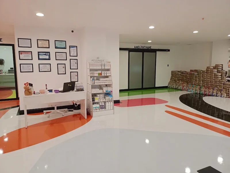 Pet House Trabzon Hayvan Hastanesi foto 2