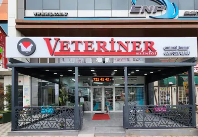 Animal Home Veteriner Klınığı