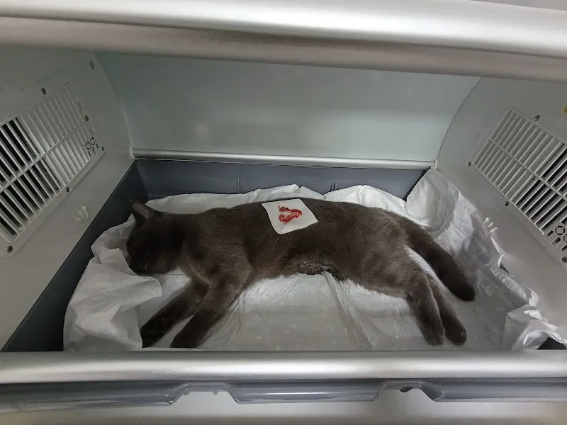 Yücedağ Veteriner Kliniği foto 1
