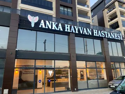 ANKA HAYVAN HASTANESİ