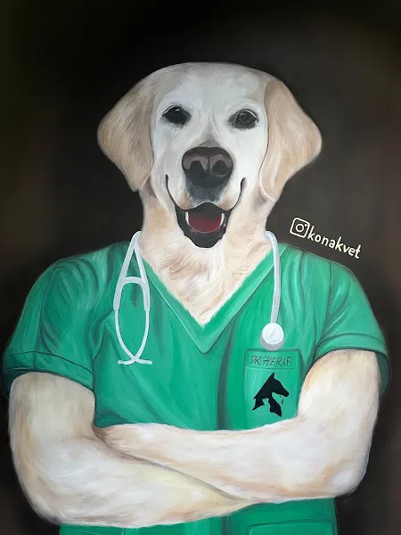 Konak Veteriner Kliniği foto 2