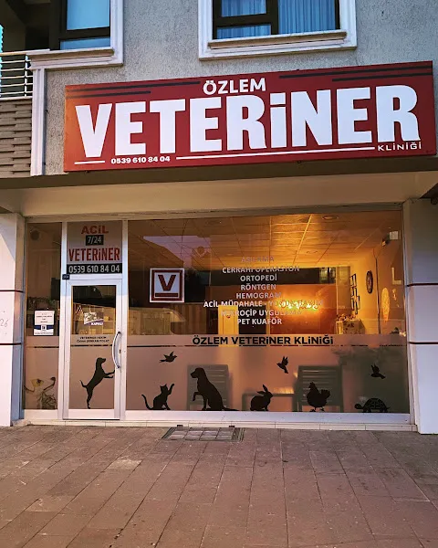Erzincan Özlem Veteriner Kliniği foto 1