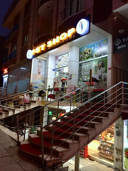 Petilya Pet Shop Ataşehir foto 2