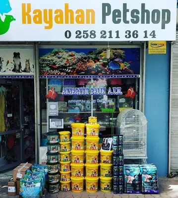 Kayahan Petshop (Akvaryum Balık Avm)