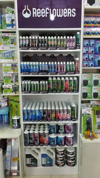 Kayahan Petshop (Akvaryum Balık Avm) foto 2