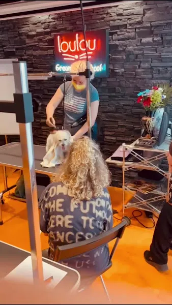 LOULOU PET KUAFÖRÜ & SPA - PET GROOMING AKADEMİ & KÖPEK MANKENLERİ foto 2