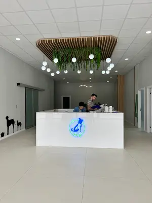 Pursaklar Hayvan Hastanesi ( Pursaklar’ın İlk Veterineri )