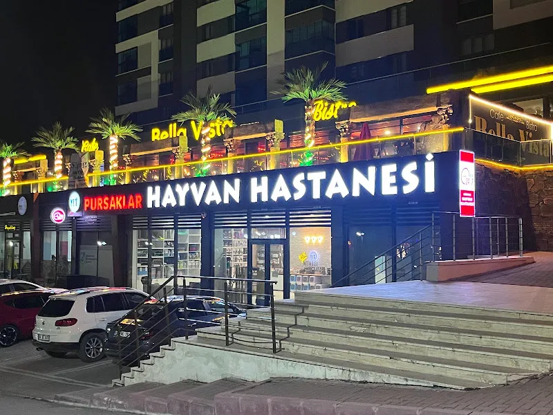 Pursaklar Hayvan Hastanesi ( Pursaklar’ın İlk Veterineri ) foto 2