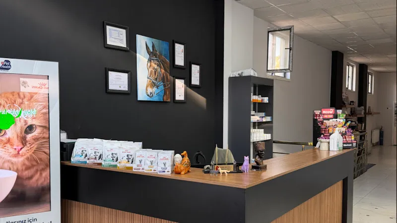 Pati Pursaklar Veteriner Kliniği foto 1