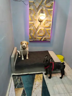EXPO PET OTEL ANTALYA fotoğrafı