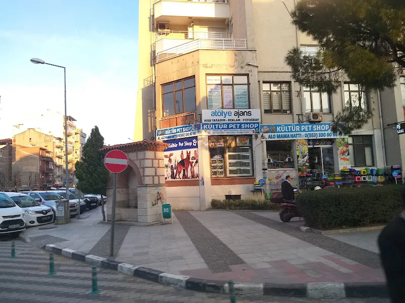 Kültür Petshop Alo Mama Hattı foto 1
