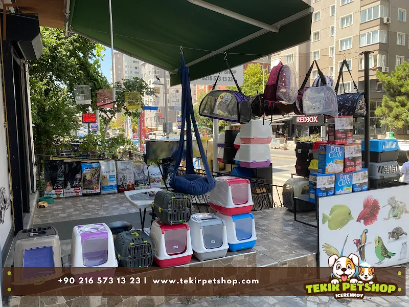 Tekir Petshop foto 2