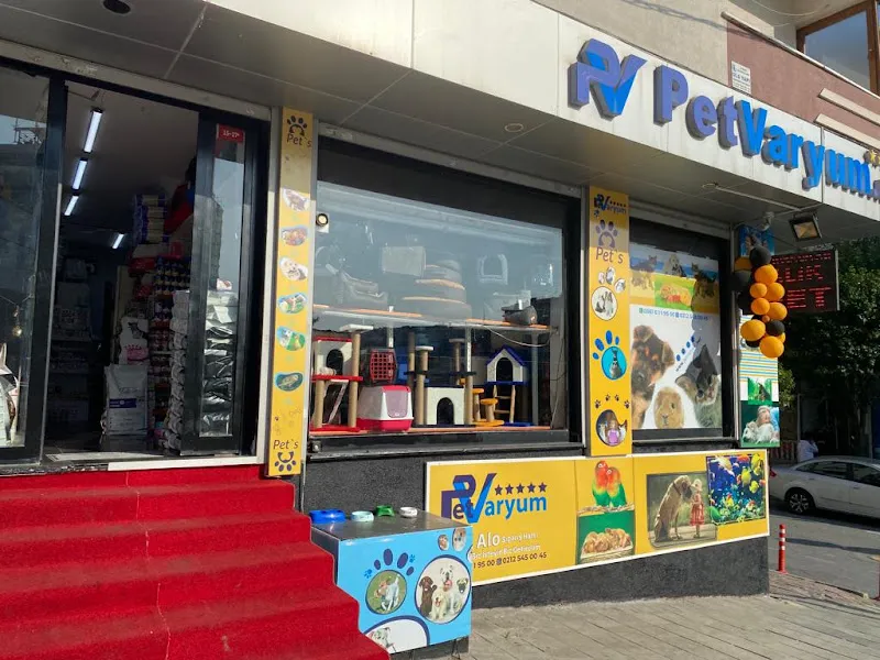 PetVaryum Akvaryum ve PetShop Gaziosmanpaşa foto 2