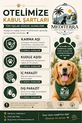 Mediterra Dog Academy & Hotel fotoğrafı