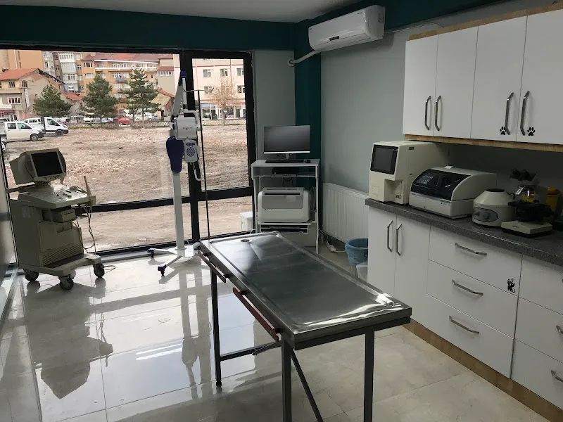KÜTAHYA VETERİNER KLİNİĞİ foto 2