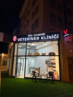 Özel Çekmeköy Veteriner Kliniği