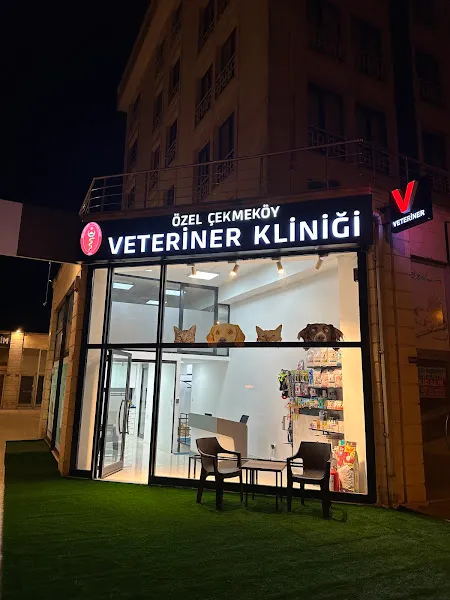 Özel Çekmeköy Veteriner Kliniği foto 1