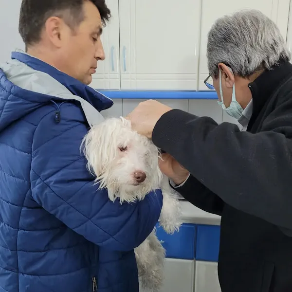 Şifa Veteriner Kliniği foto 2