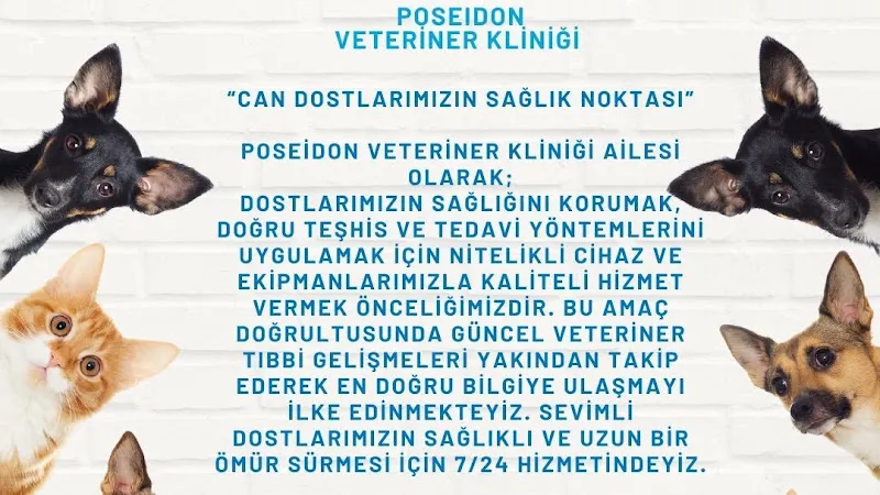 Poseidon Veteriner Kliniği foto 1