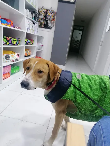 Poseidon Veteriner Kliniği foto 2