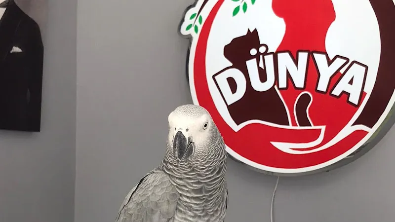 Dünya Veteriner Kliniği Çorlu foto 1