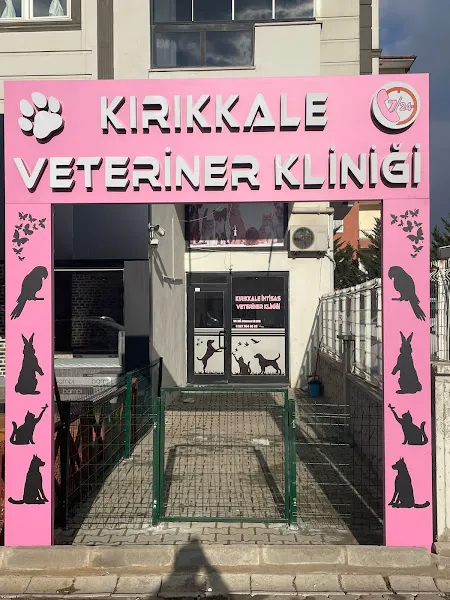 Kırıkkale İhtisas Veteriner Kliniği foto 1