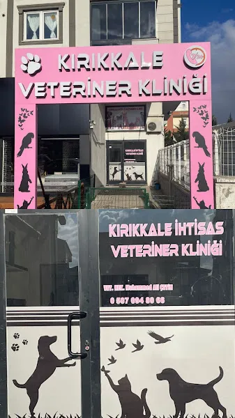 Kırıkkale İhtisas Veteriner Kliniği foto 2