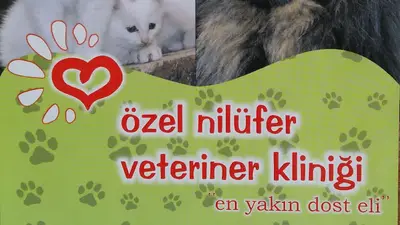 Özel Nilüfer Veteriner Kliniği fotoğrafı