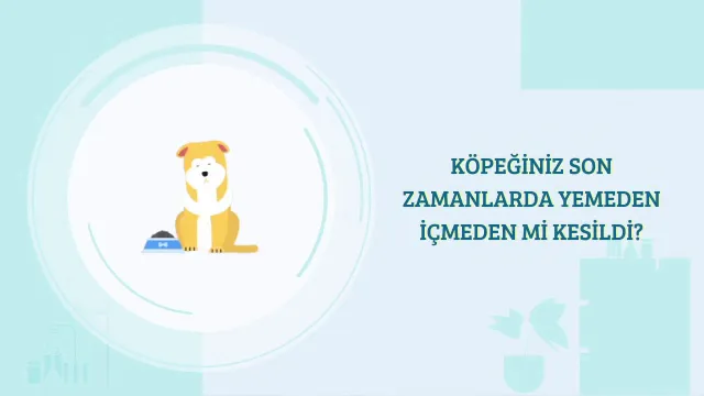 Kahraman Veteriner Kliniği foto 2