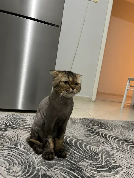Meyna Veteriner Kliniği foto 2