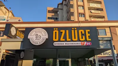 Özlüce Veteriner Kliniği fotoğrafı