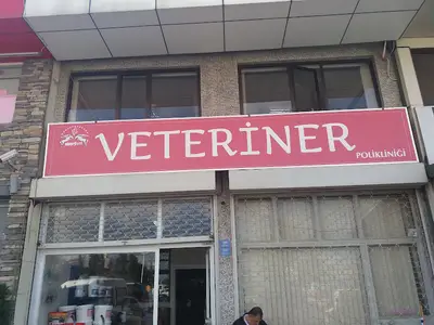 Sinerjivet Veteriner fotoğrafı