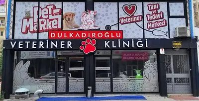 Dulkadiroğlu Sivas Veteriner Kliniği
