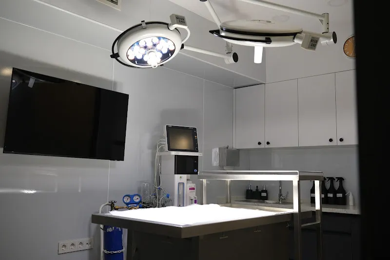 Alsancak Veteriner Kliniği foto 1