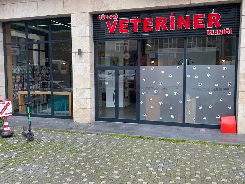GÜLBAĞ VETERİNER KLİNİĞİ-ŞİŞLİ foto 1