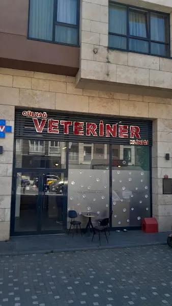 GÜLBAĞ VETERİNER KLİNİĞİ-ŞİŞLİ foto 2
