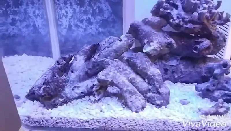 Paytak petshop foto 2