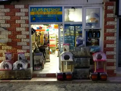 Tarsus petshop atlas