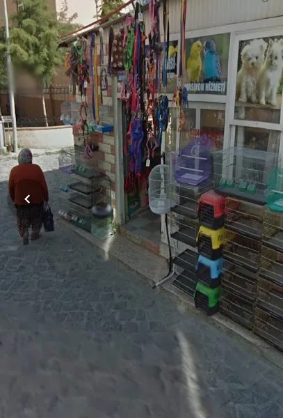 Tarsus petshop atlas foto 2