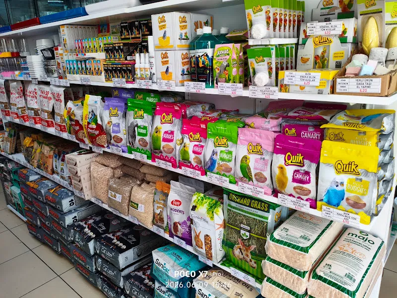 Pati 55 Pet Market Petshop foto 2